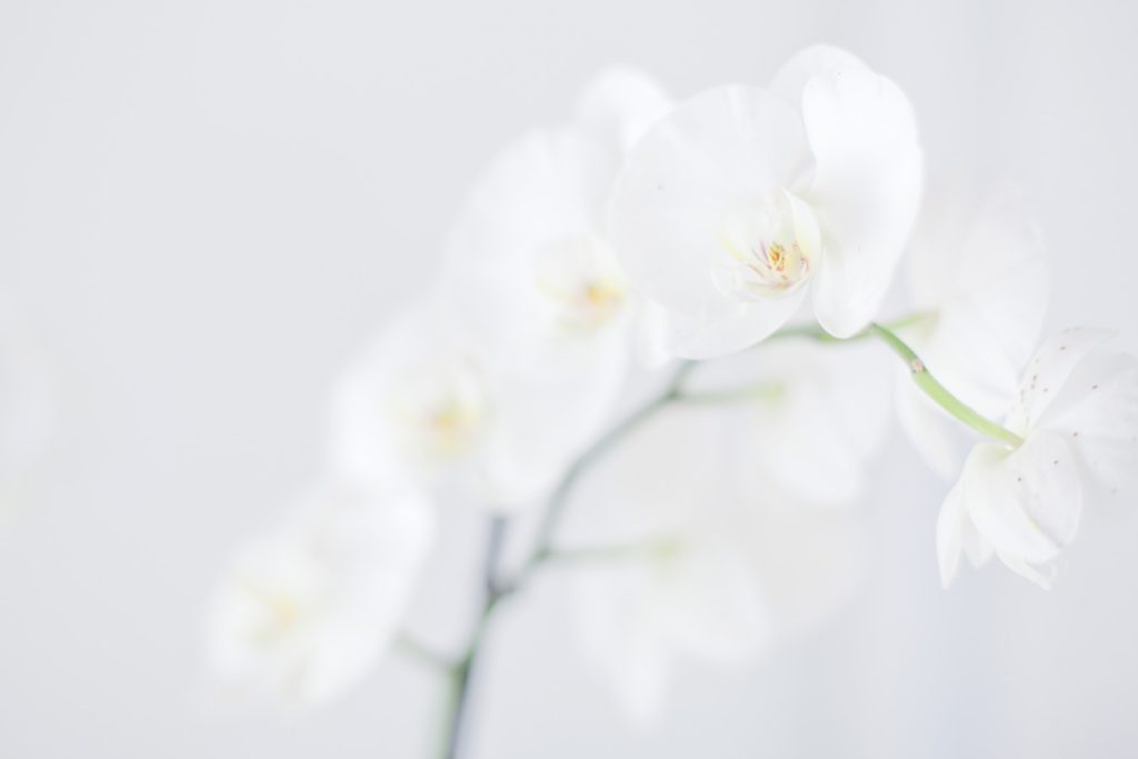 Photo-mariage-MO-035